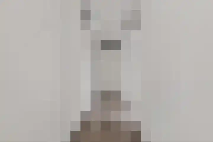 Tolsingel 55 C Zevenaar thumbnail 7
