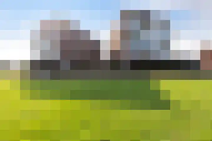 Tolsingel 55 Zevenaar thumbnail 36