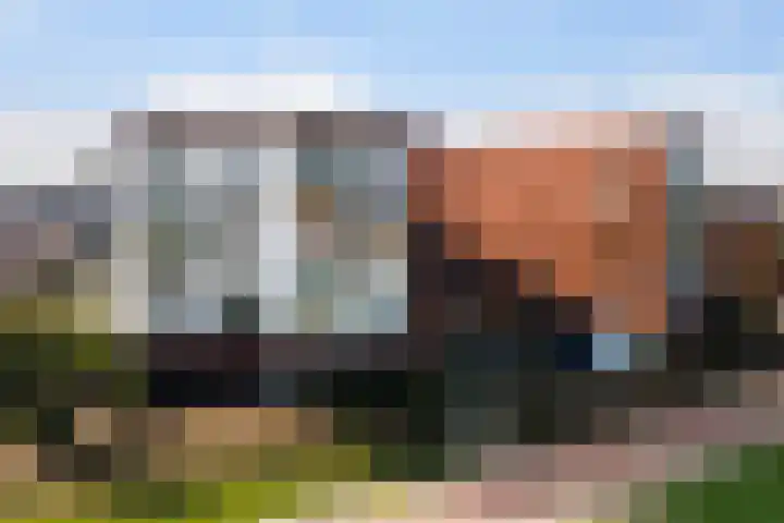 Tolsingel 55 Zevenaar thumbnail 39