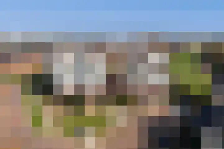 Tolsingel 55 Zevenaar thumbnail 42