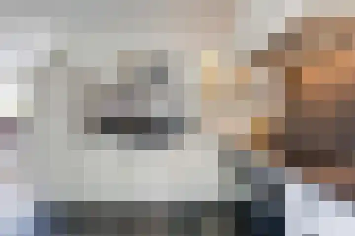 Tolsingel 61 Zevenaar thumbnail 29