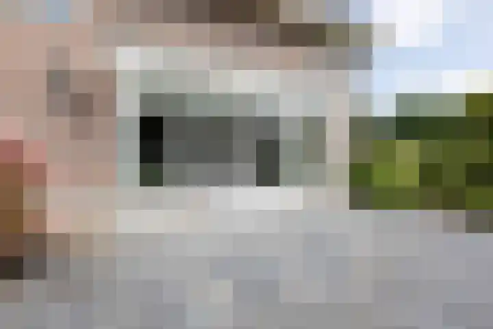 Tolsingel 61 Zevenaar thumbnail 55