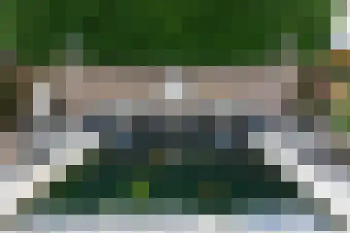 Tolsingel 61 Zevenaar thumbnail 60