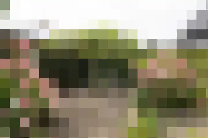 Tolsingel 61 Zevenaar thumbnail 61