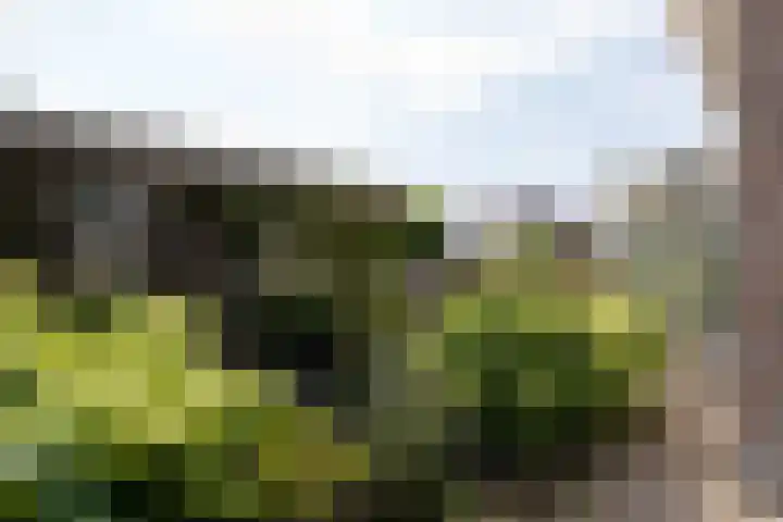 Tolsingel 61 Zevenaar thumbnail 64