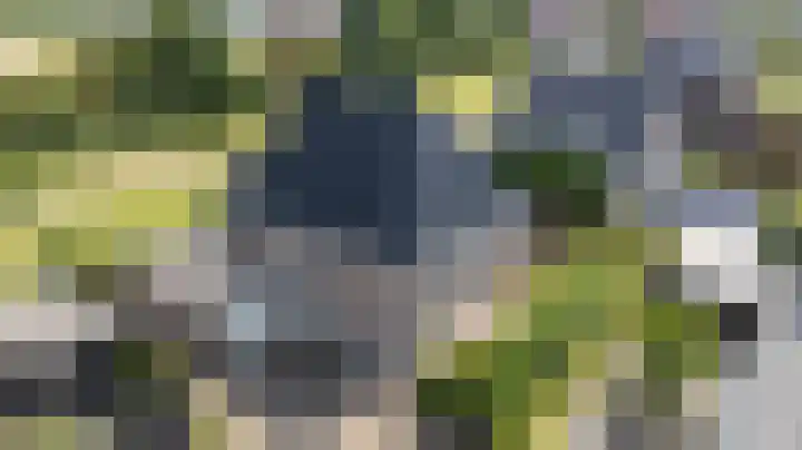 Tolsingel 61 Zevenaar thumbnail 69