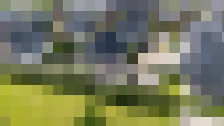 Tolsingel 61 Zevenaar thumbnail 70
