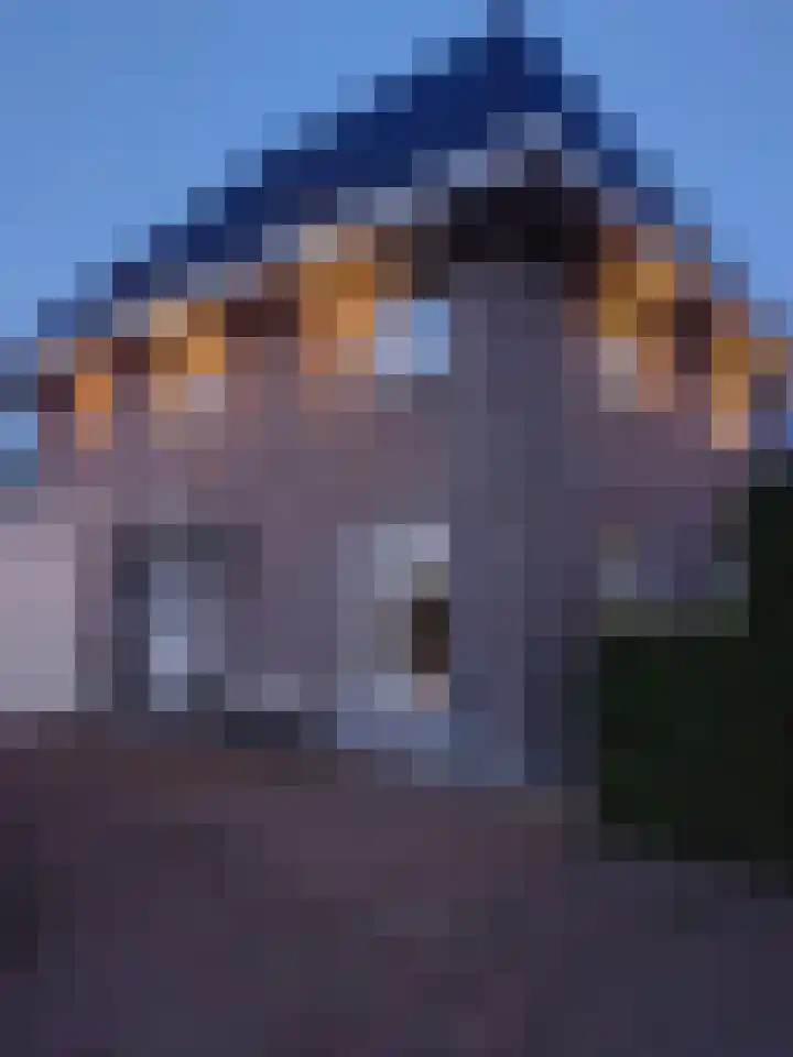 Tolsingel 61 Zevenaar thumbnail 8