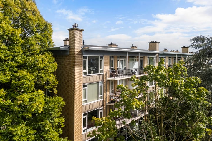 Tolsteegplantsoen 26-3 in Utrecht foto