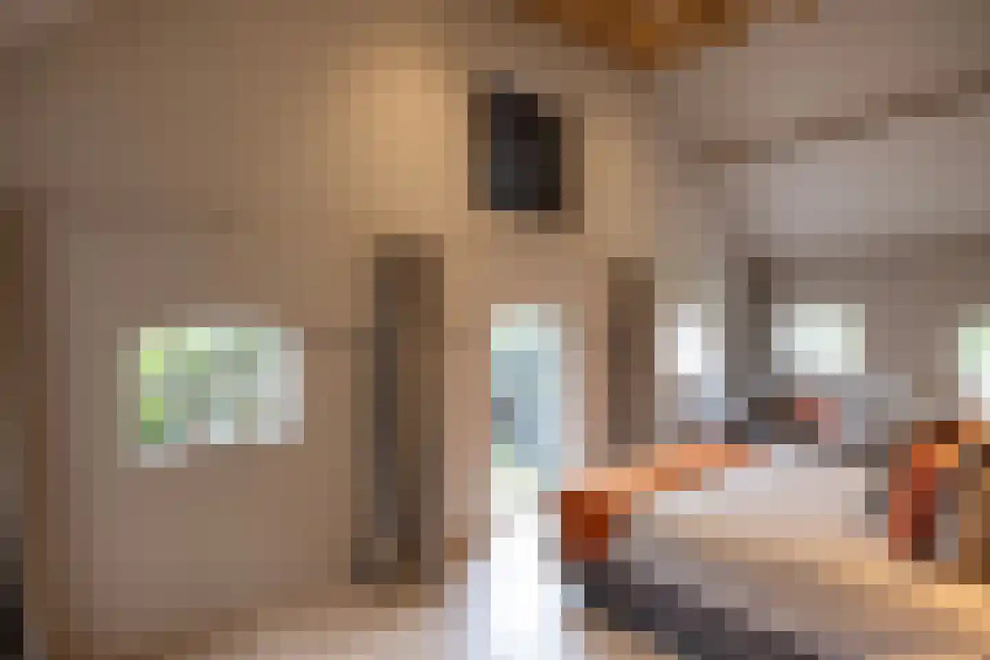 Tolstraat 1 Drempt thumbnail 17