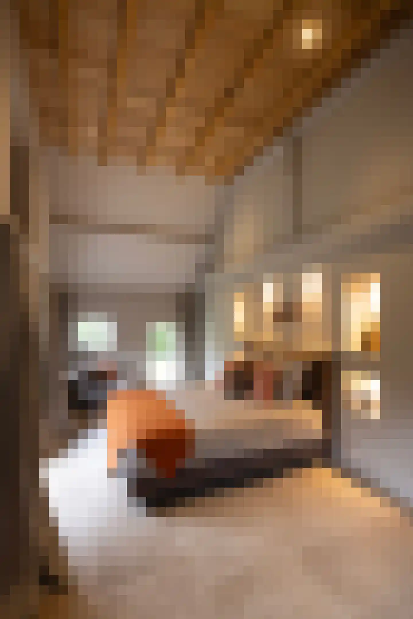 Tolstraat 1 Drempt thumbnail 19