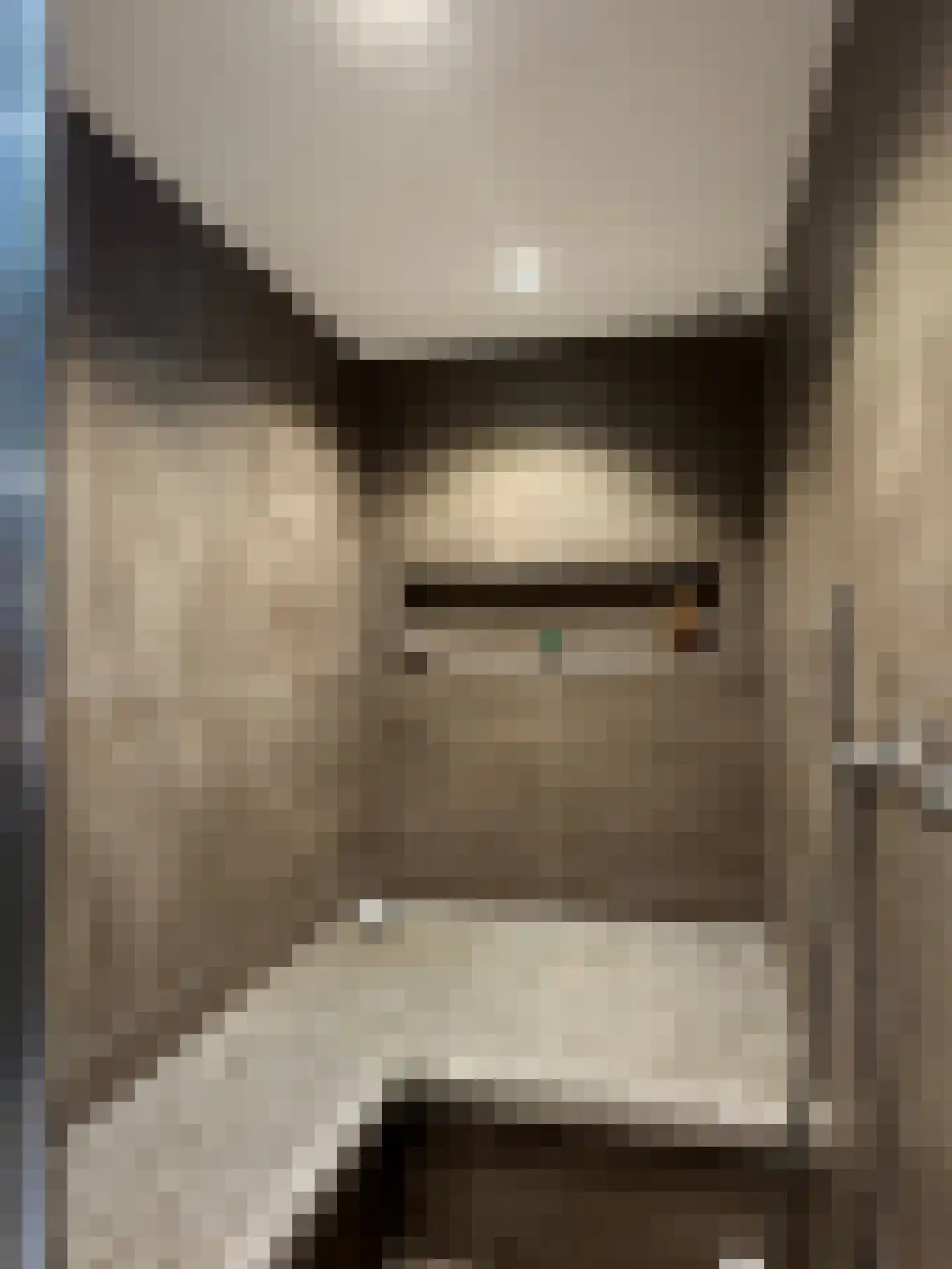 Tolstraat 1 Drempt thumbnail 24