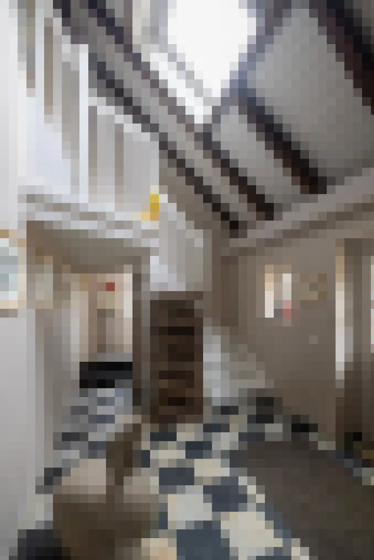 Tolstraat 1 Drempt thumbnail 29