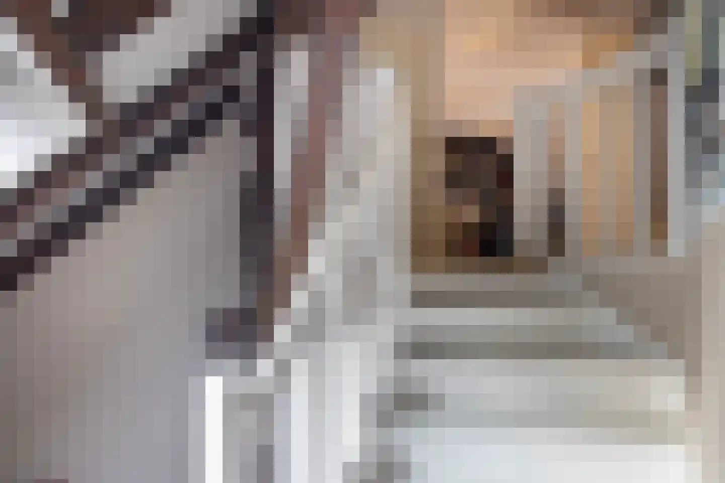 Tolstraat 1 Drempt thumbnail 32