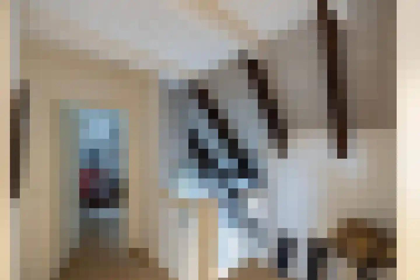 Tolstraat 1 Drempt thumbnail 34