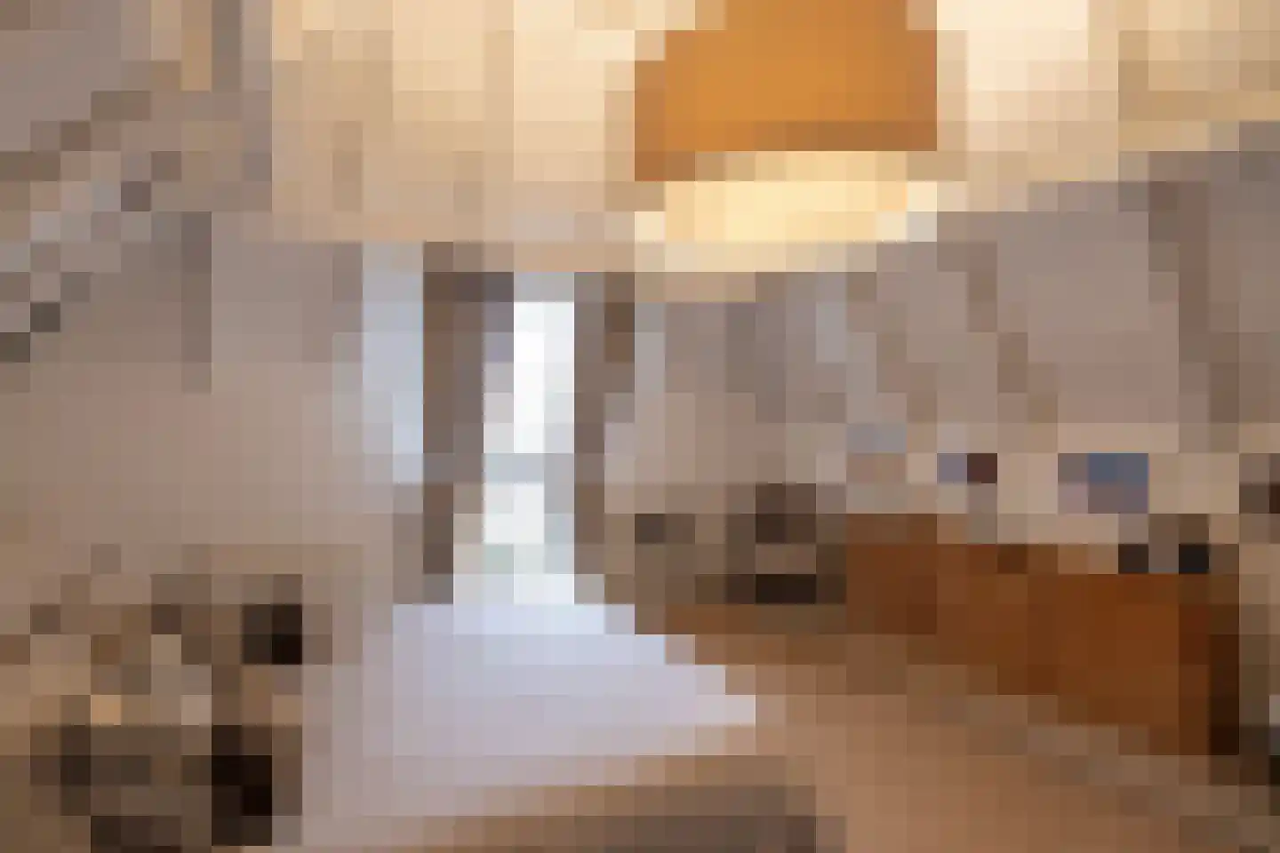 Tolstraat 1 Drempt thumbnail 39