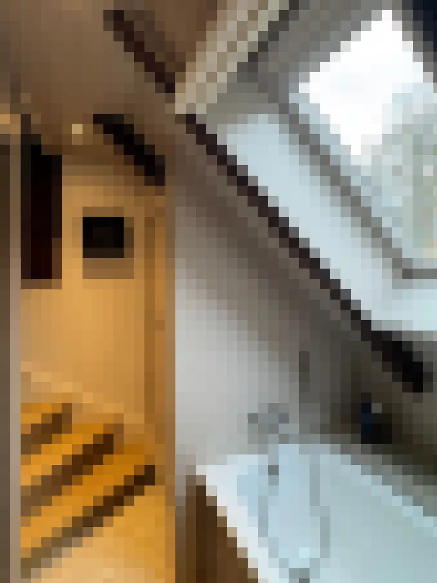 Tolstraat 1 Drempt thumbnail 40