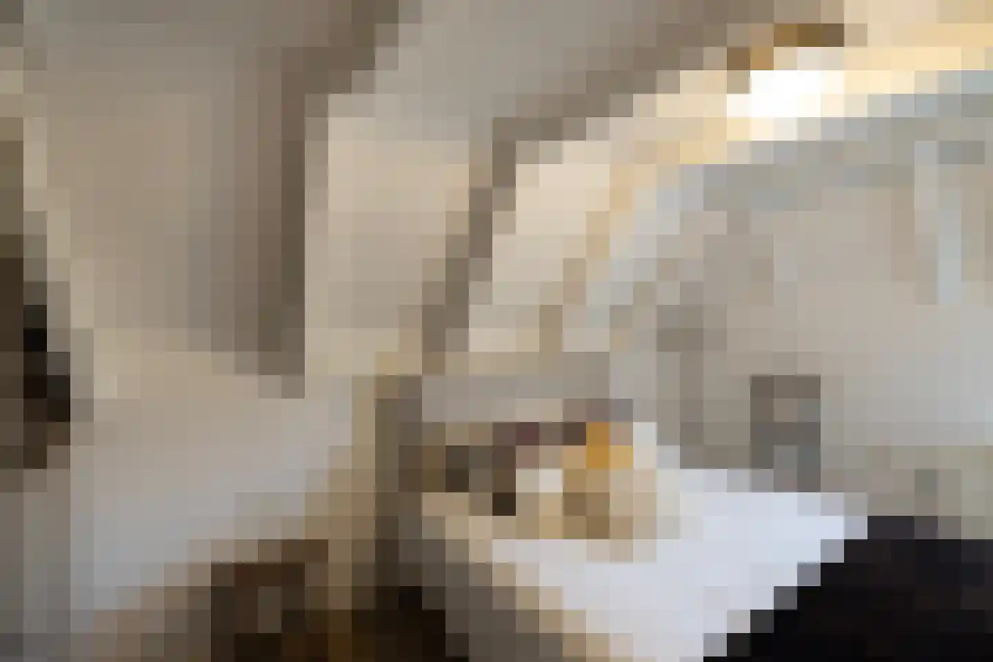 Tolstraat 1 Drempt thumbnail 43