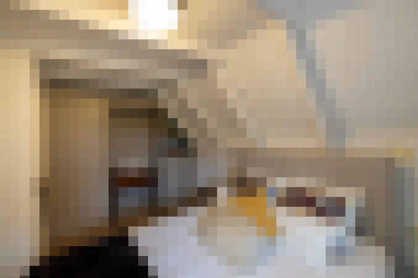 Tolstraat 1 Drempt thumbnail 44
