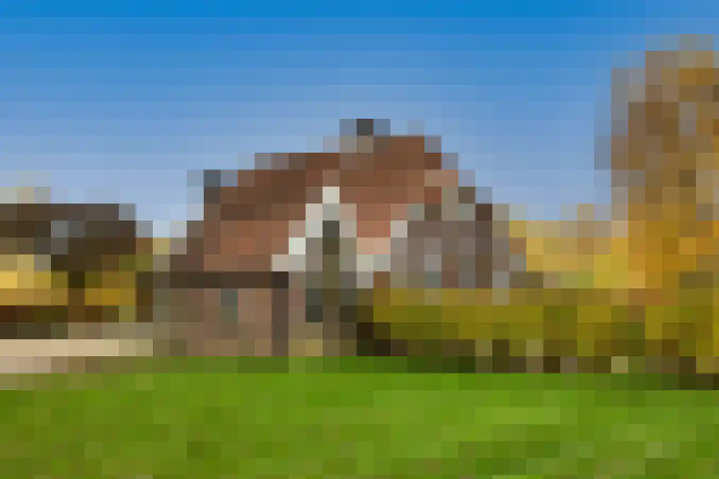 Tolstraat 1 Drempt thumbnail 49