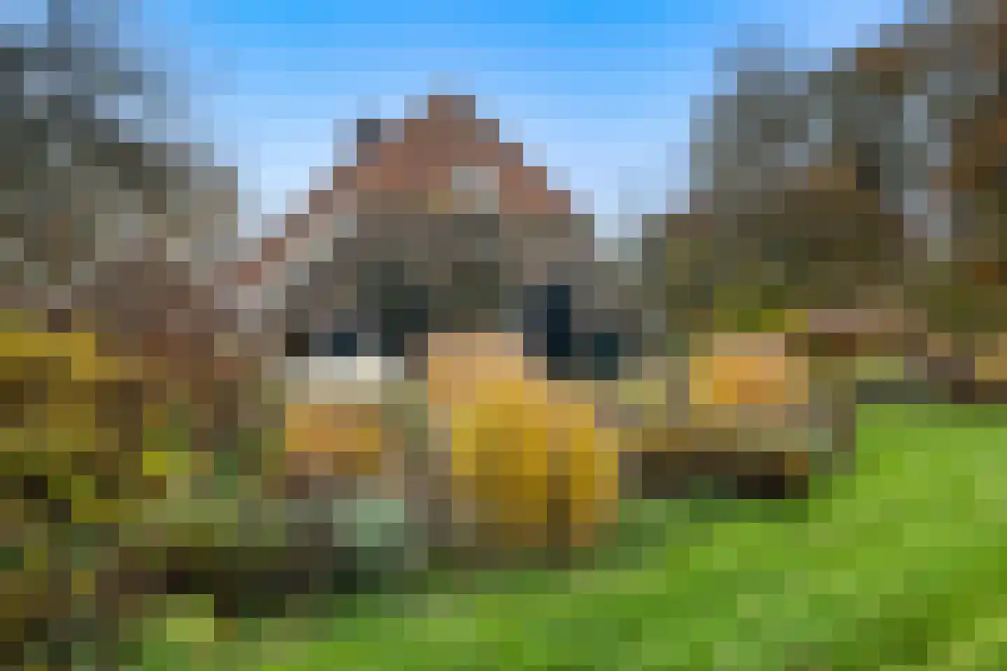 Tolstraat 1 Drempt thumbnail 54