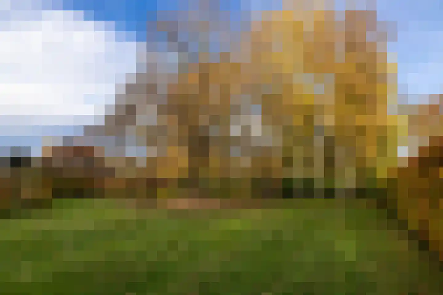 Tolstraat 1 Drempt thumbnail 56