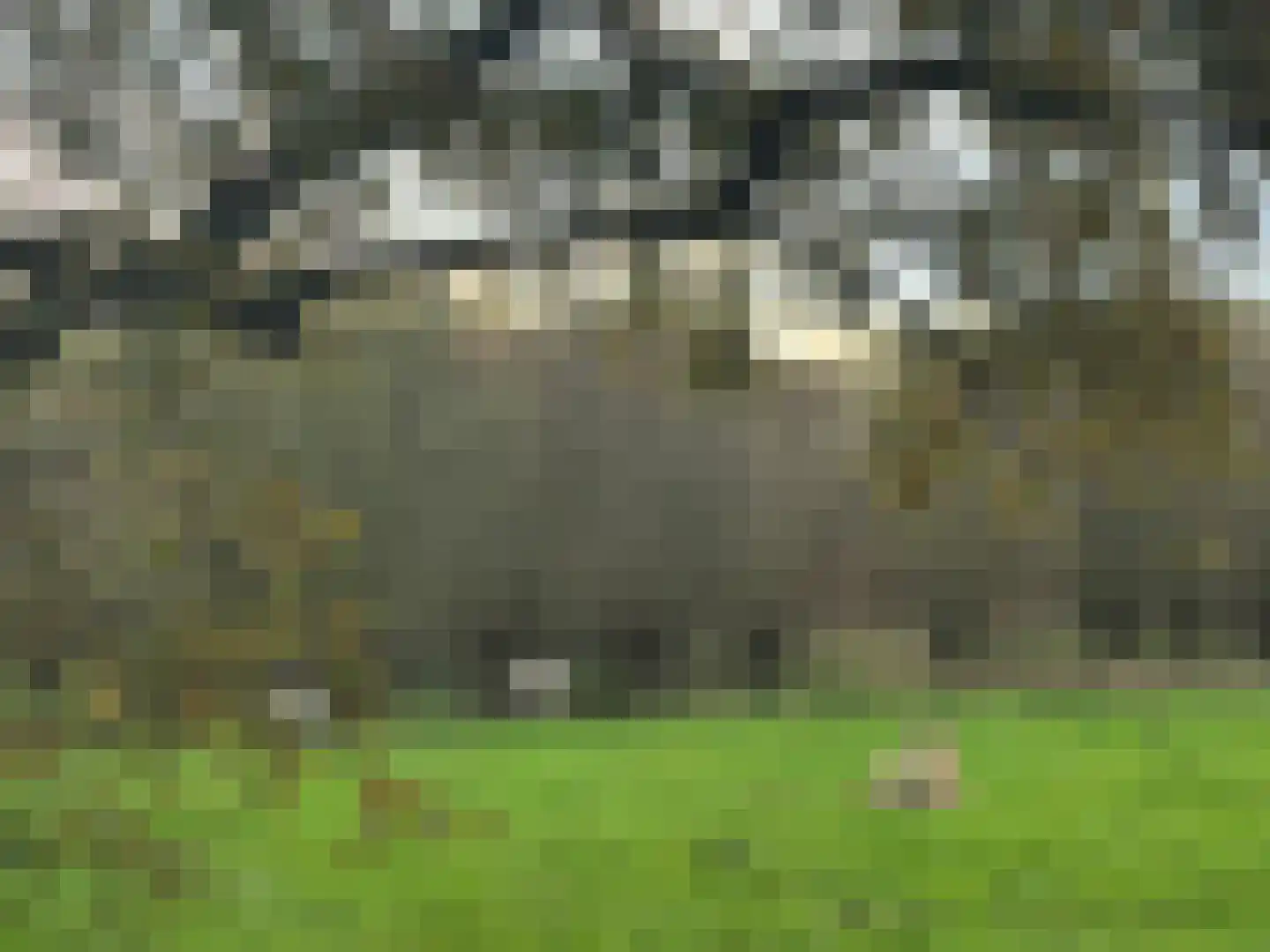 Tolstraat 1 Drempt thumbnail 63