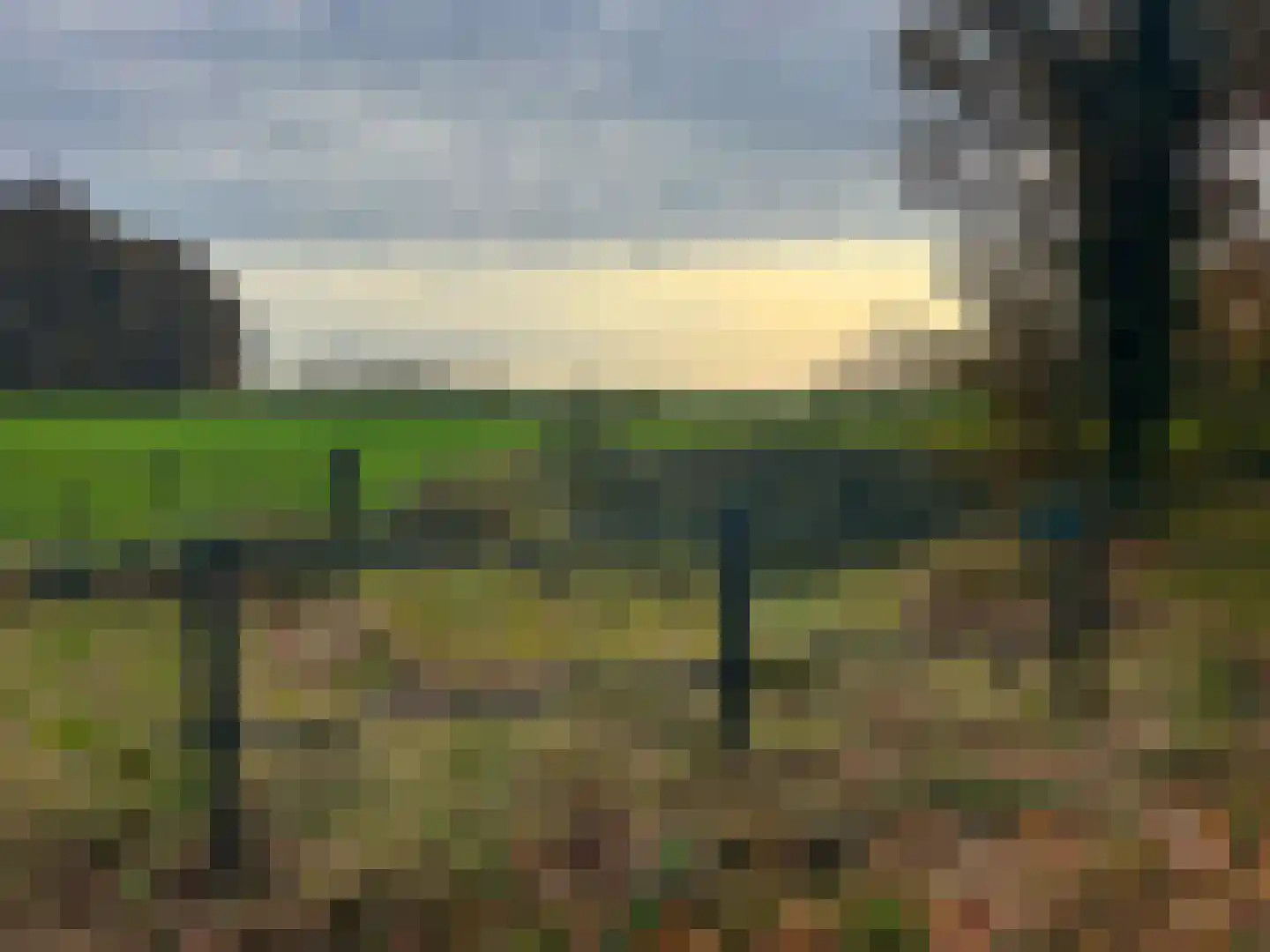 Tolstraat 1 Drempt thumbnail 64