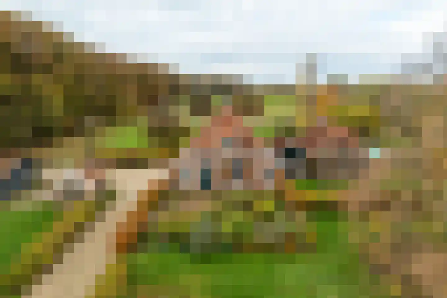 Tolstraat 1 Drempt thumbnail 66