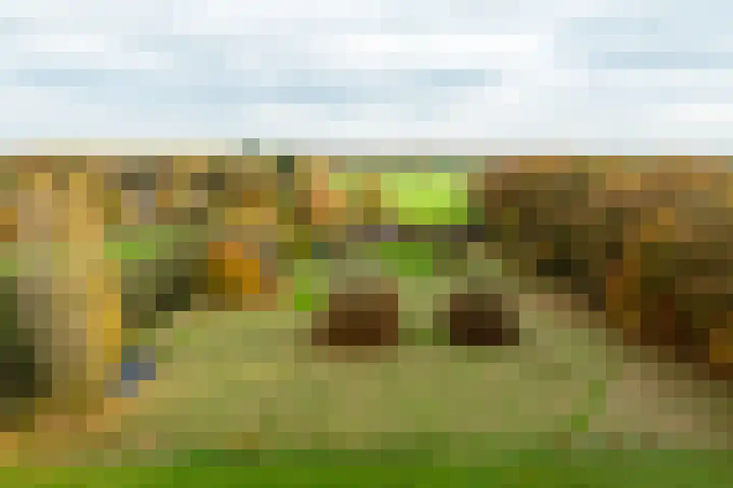 Tolstraat 1 Drempt thumbnail 69