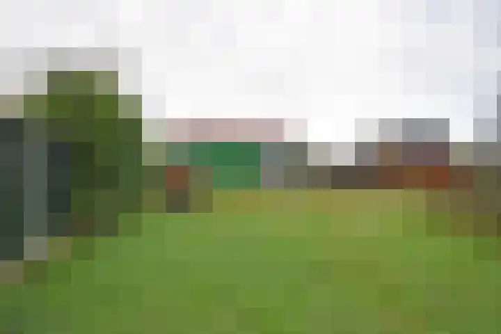 Tolwei 29 De Westereen thumbnail 12