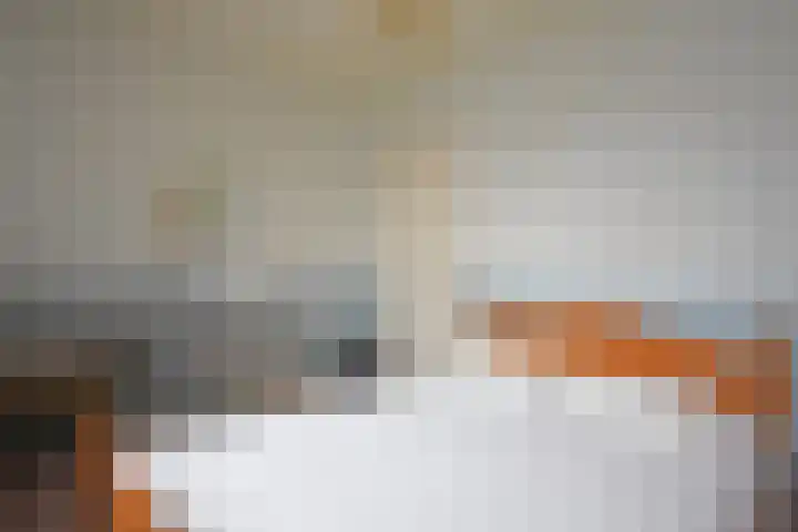 Tolwei 29 De Westereen thumbnail 27