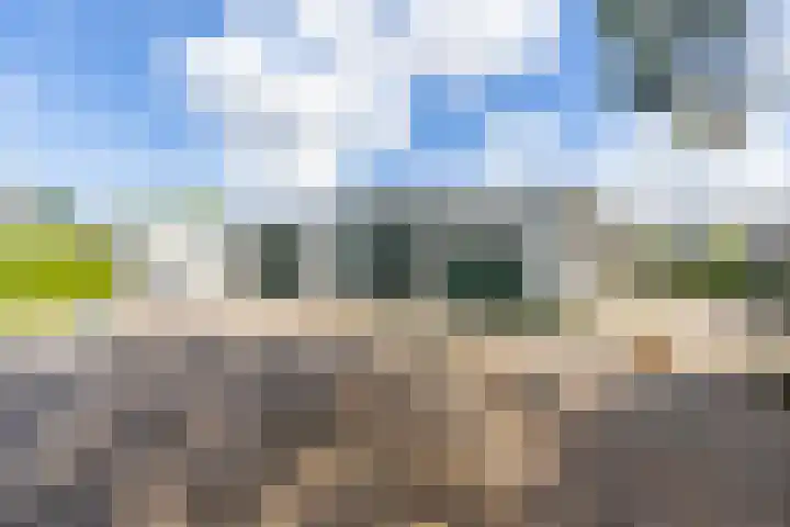 Tolwei 36 De Westereen thumbnail 12