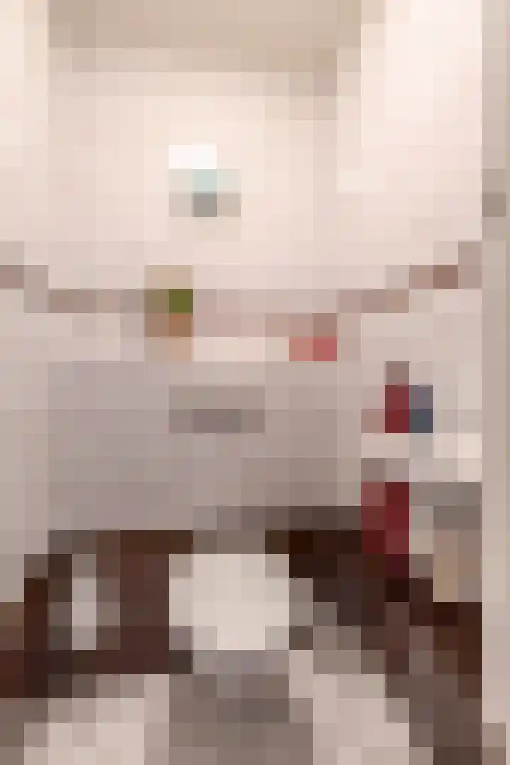 Tolwei 36 De Westereen thumbnail 15