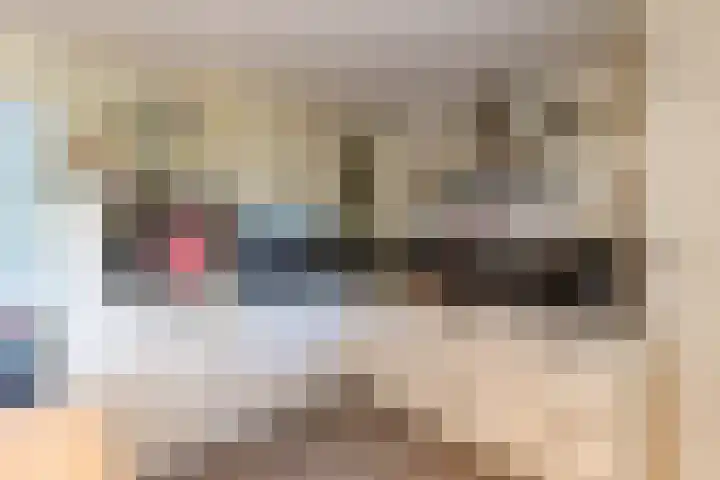 Tolwei 36 De Westereen thumbnail 18