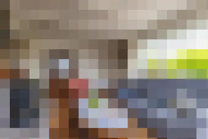 Tolwei 36 De Westereen thumbnail 24