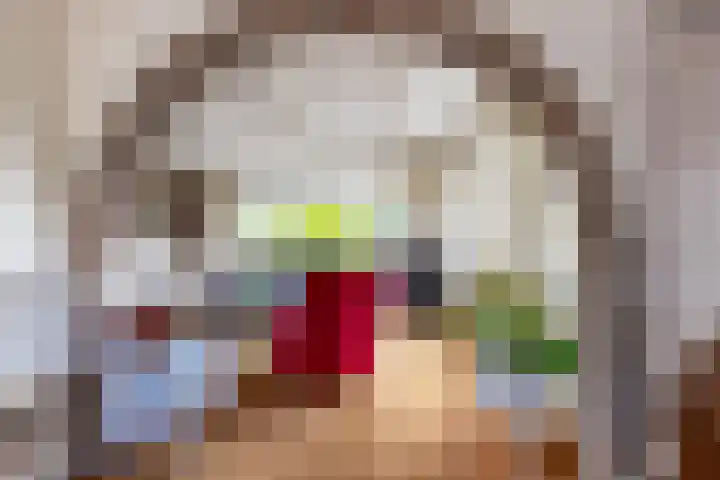 Tolwei 36 De Westereen thumbnail 26