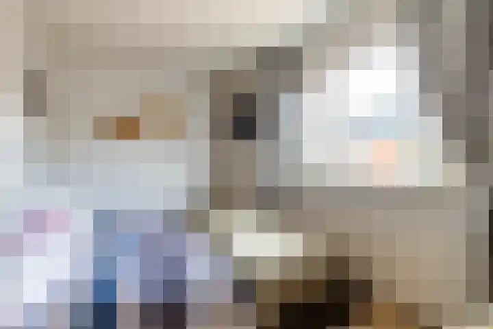 Tolwei 36 De Westereen thumbnail 31