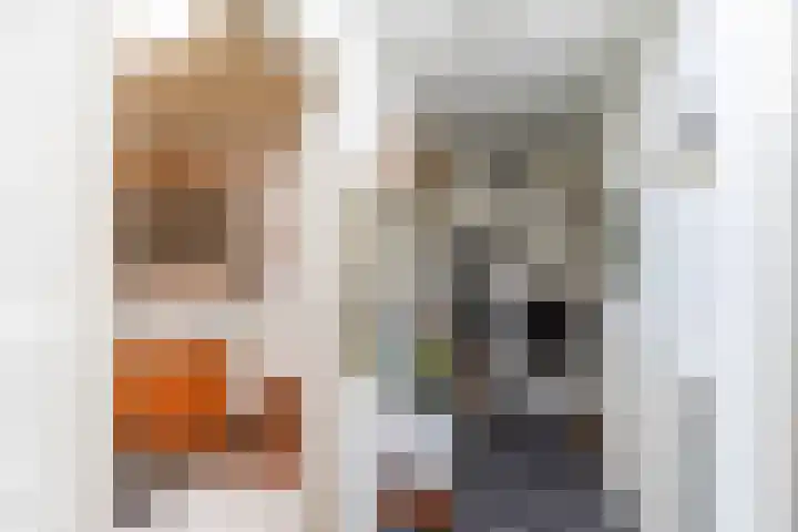Tolwei 36 De Westereen thumbnail 32