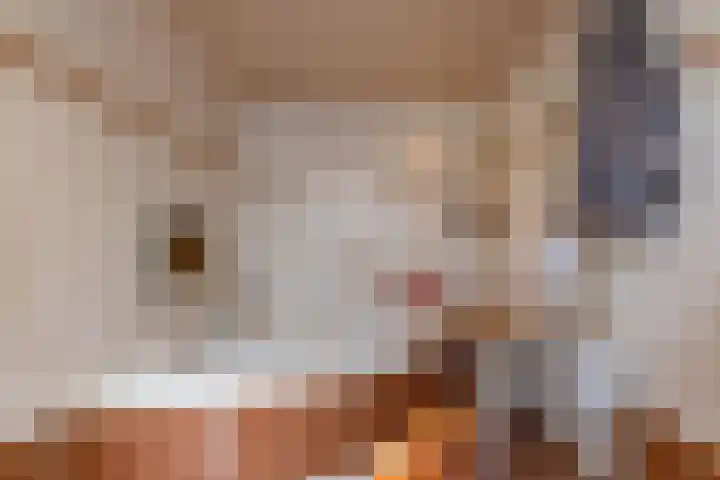 Tolwei 36 De Westereen thumbnail 34