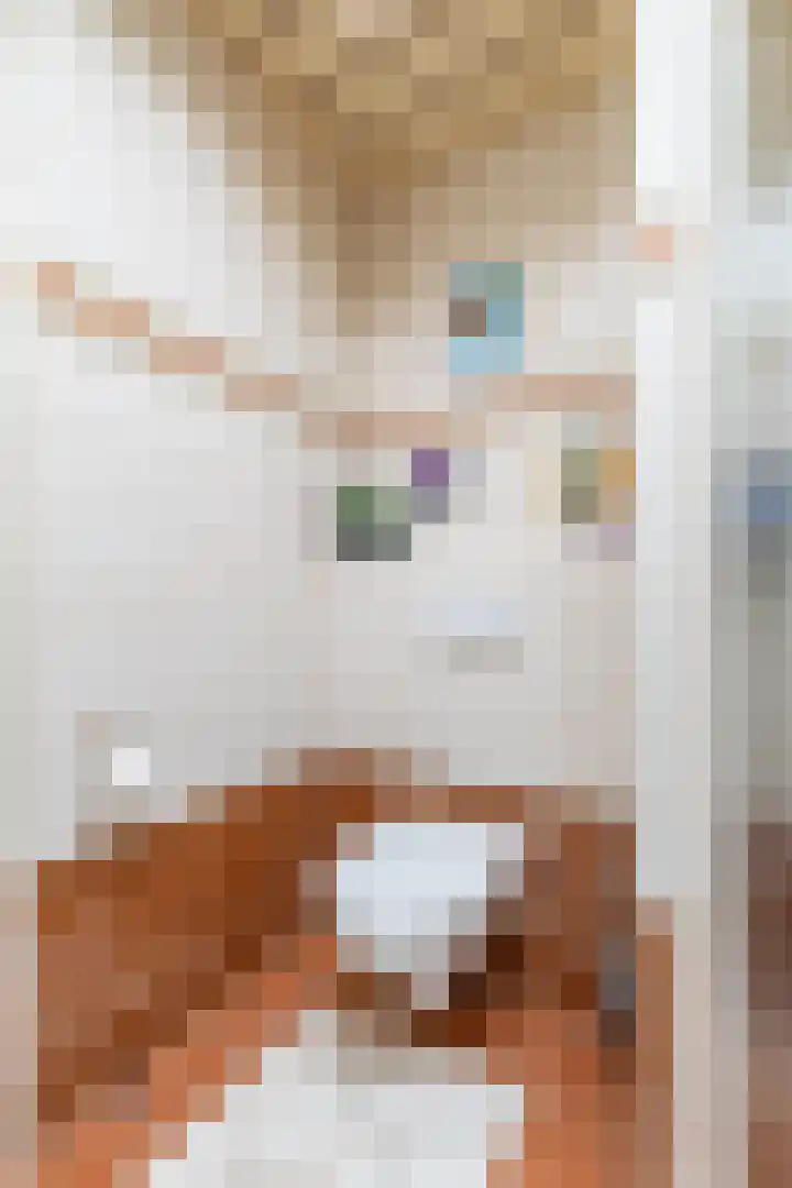 Tolwei 36 De Westereen thumbnail 36