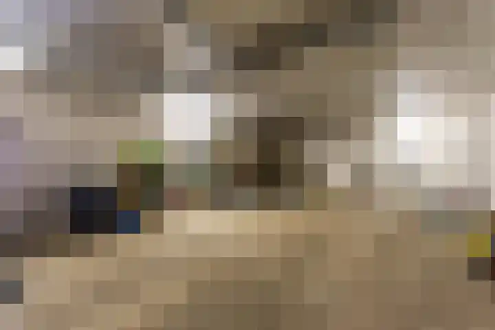 Tolwei 36 De Westereen thumbnail 39