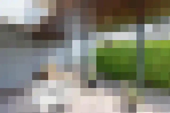 Tolwei 36 De Westereen thumbnail 42