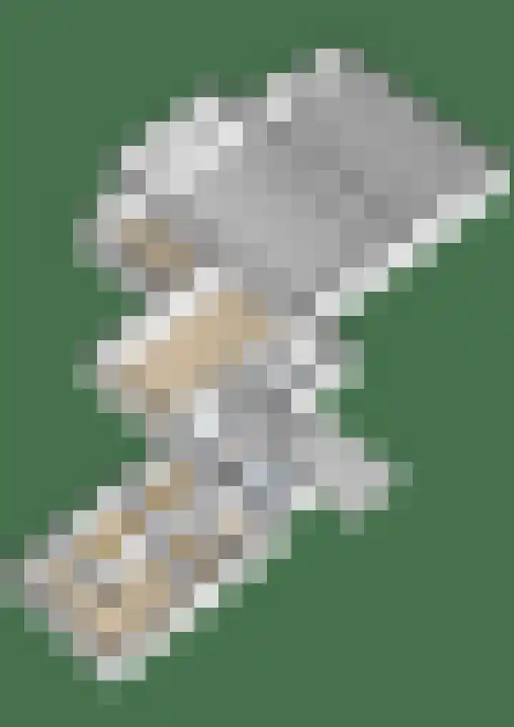 Tolwei 36 De Westereen thumbnail 44