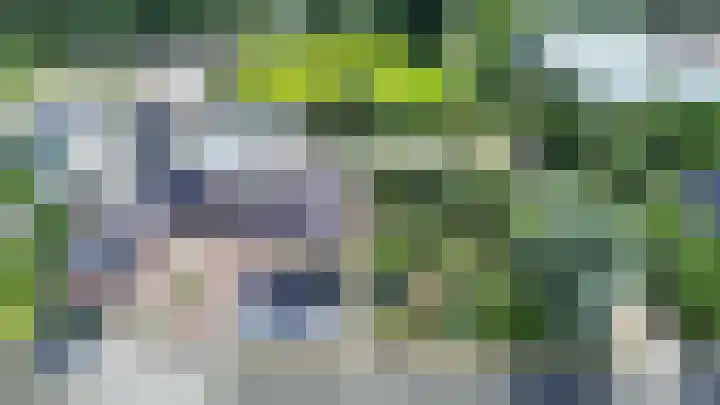 Tolwei 36 De Westereen thumbnail 5