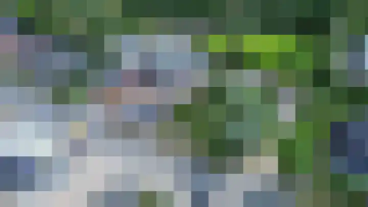 Tolwei 36 De Westereen thumbnail 6
