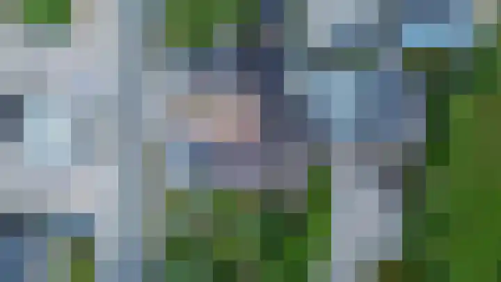 Tolwei 36 De Westereen thumbnail 7
