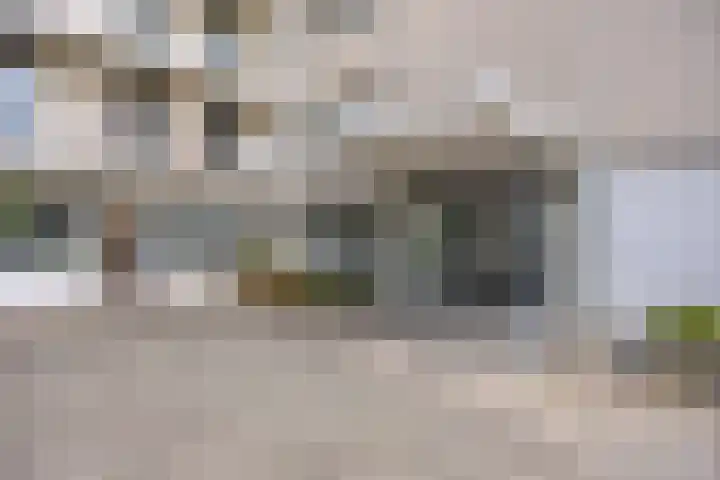 Logo Tomas & Fem Casas