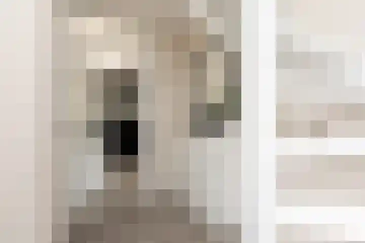 Tomme 8 a Sneek thumbnail 12