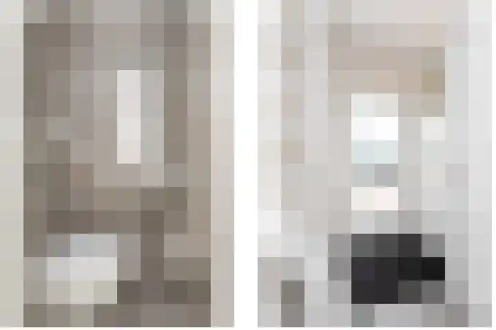 Tomme 8 a Sneek thumbnail 14